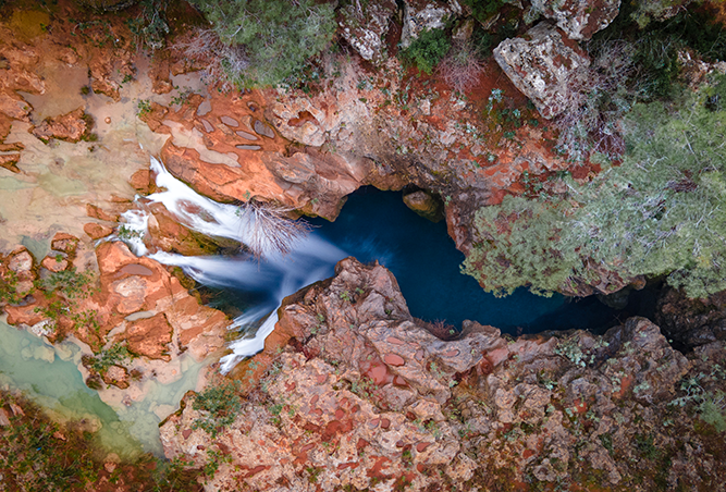 BALANCE COLOURS COLLECTION | RAINFOREST 8